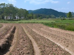 长庆油田分公司第二助剂厂土壤修复治理项目EPC总承包招标！