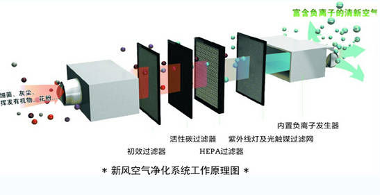新风空气净化系统