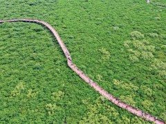 中共生态环境部党组在《求是》杂志发表文章《聚焦建设美丽中国 深化生态文明体制改革》